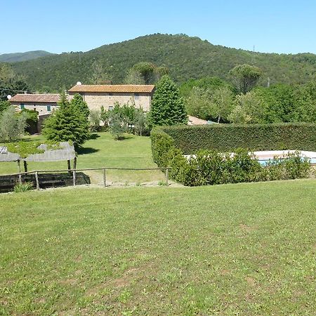 Agriturismo Le Colline Montescudaio Pokój zdjęcie