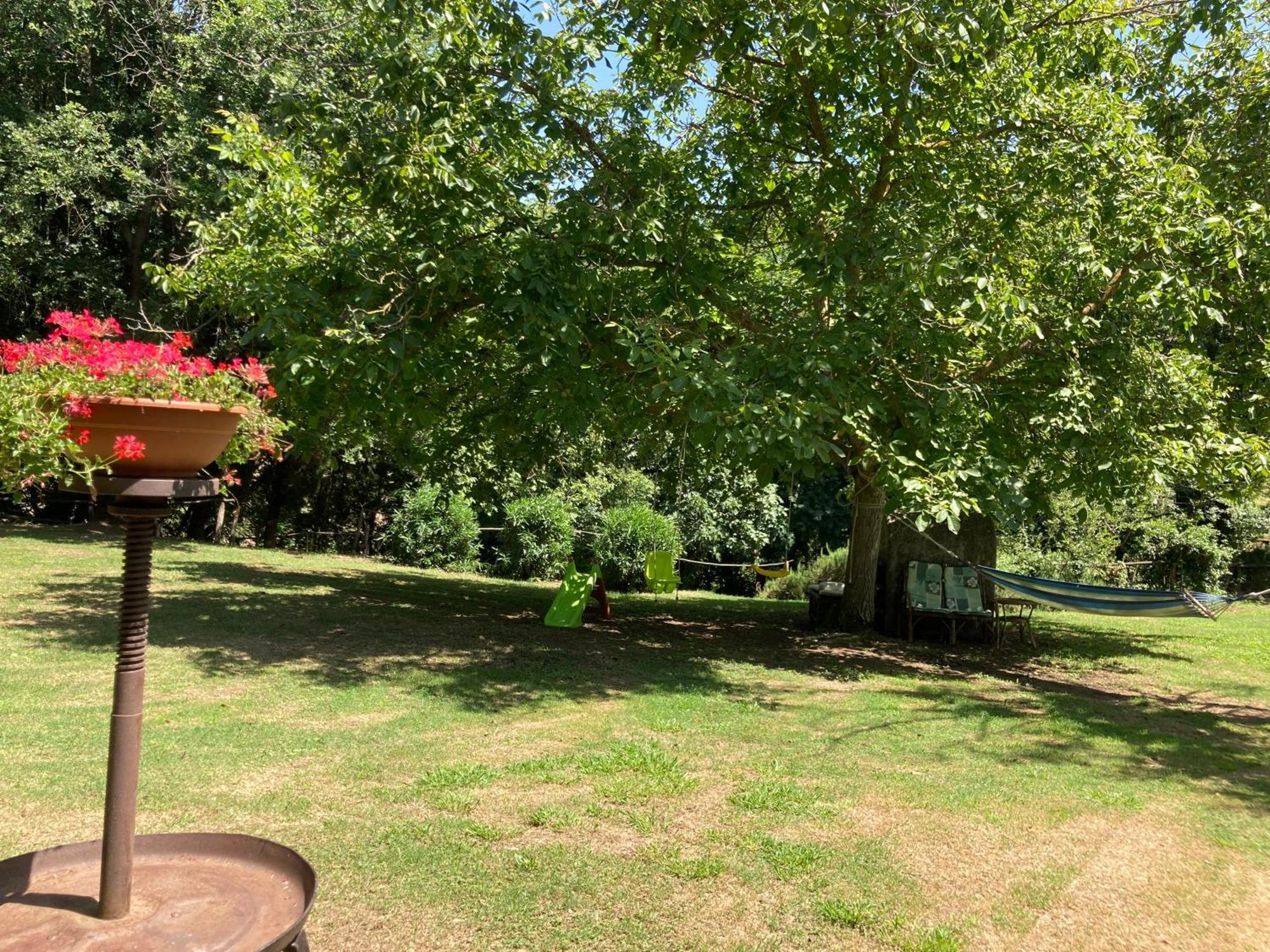 Agriturismo Le Colline Montescudaio Zewnętrze zdjęcie