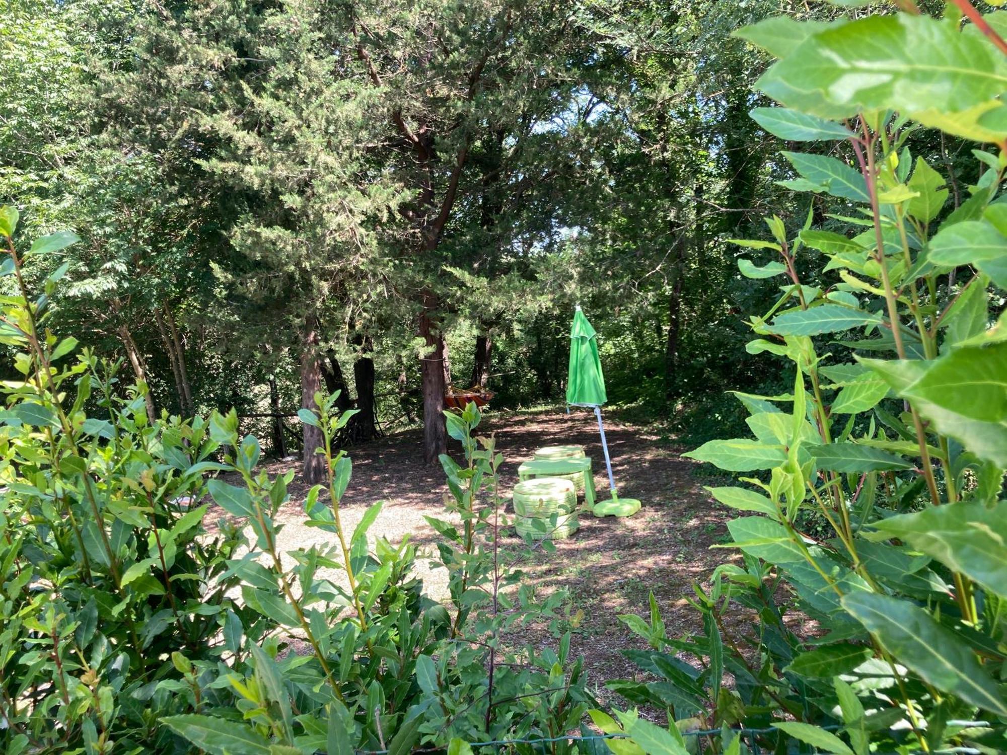 Agriturismo Le Colline Montescudaio Zewnętrze zdjęcie