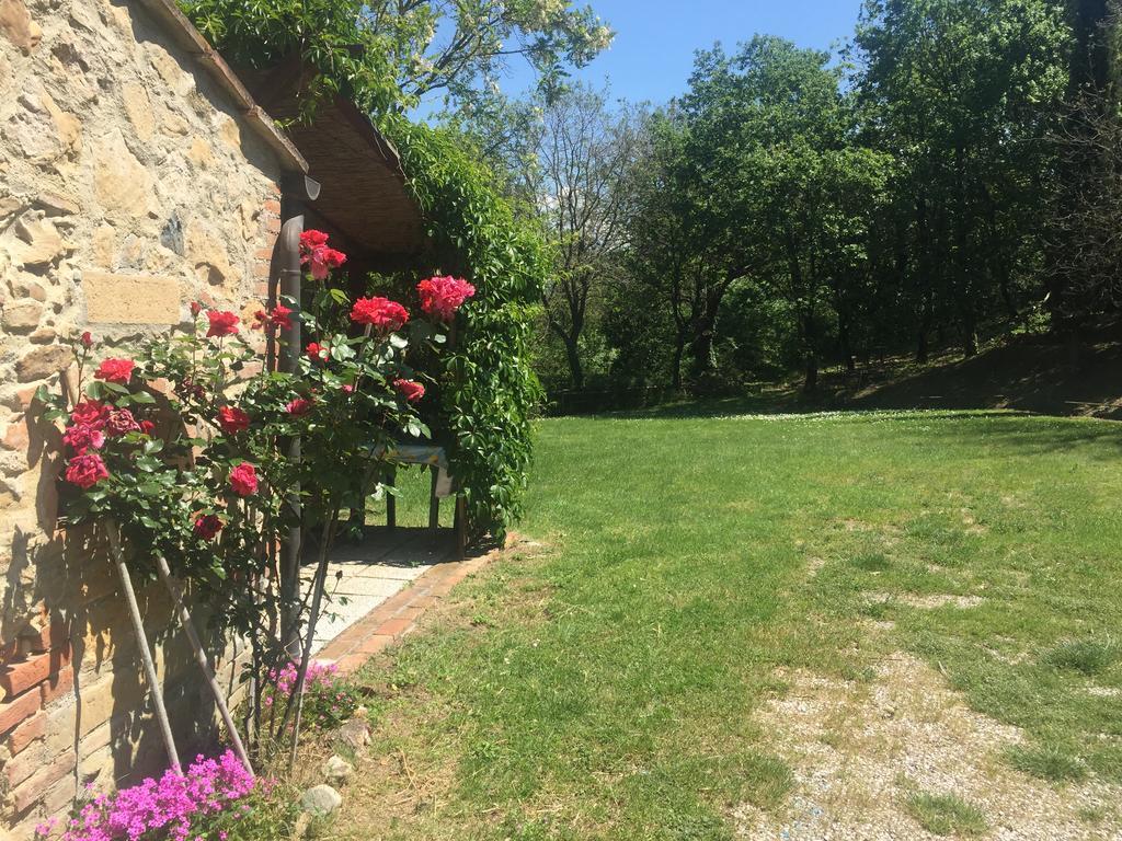 Agriturismo Le Colline Montescudaio Zewnętrze zdjęcie