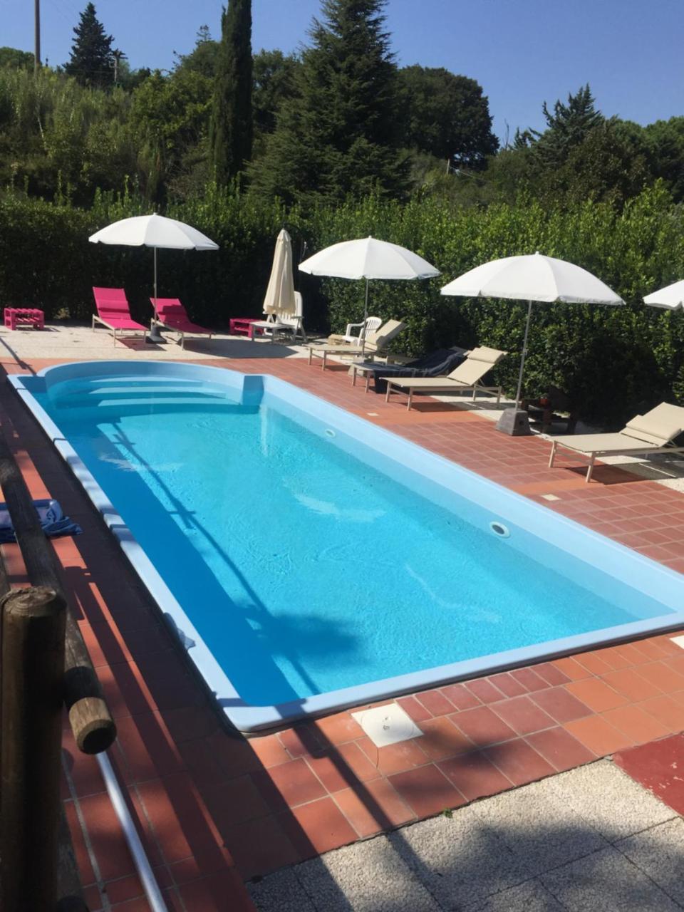Agriturismo Le Colline Montescudaio Zewnętrze zdjęcie
